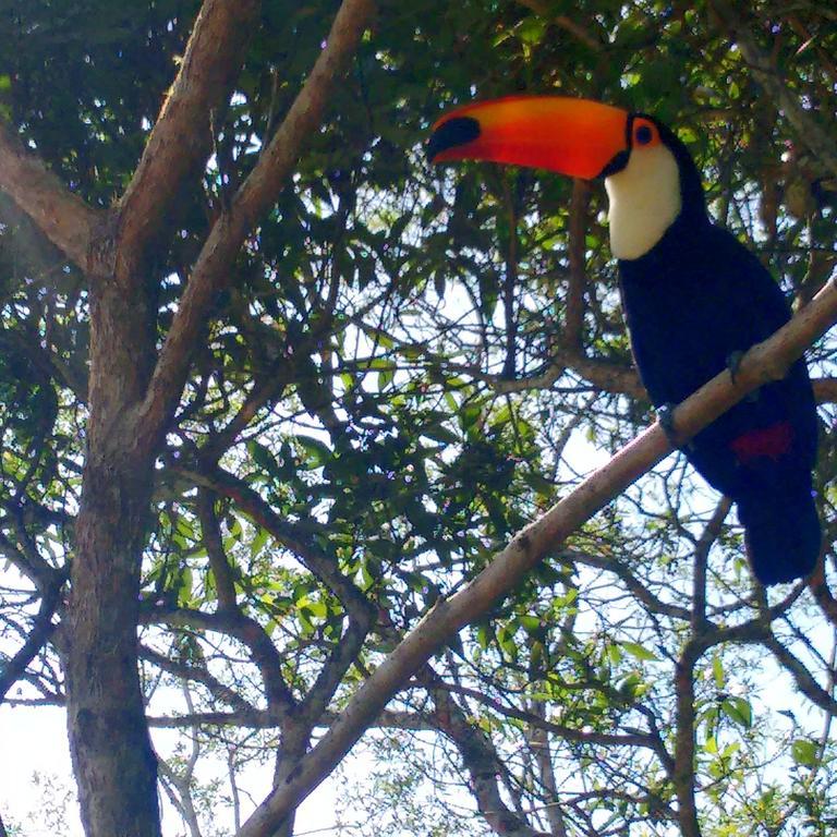 Pousada Tucano Do Cuiaba Itaipava Εξωτερικό φωτογραφία