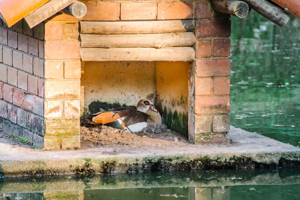 Pousada Tucano Do Cuiaba Itaipava Εξωτερικό φωτογραφία