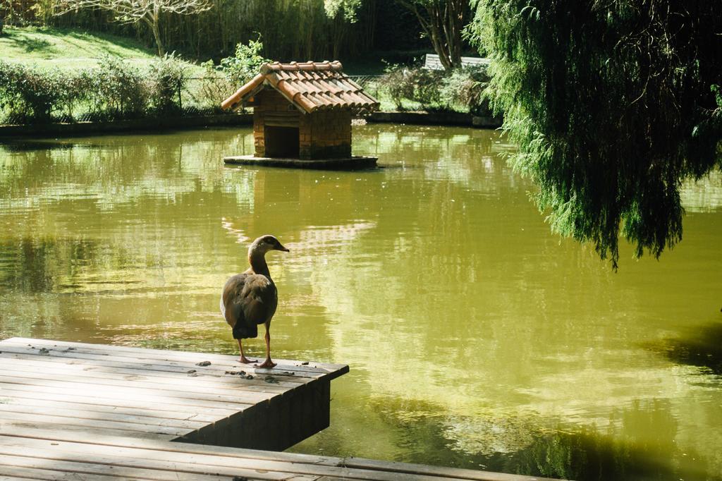 Pousada Tucano Do Cuiaba Itaipava Εξωτερικό φωτογραφία